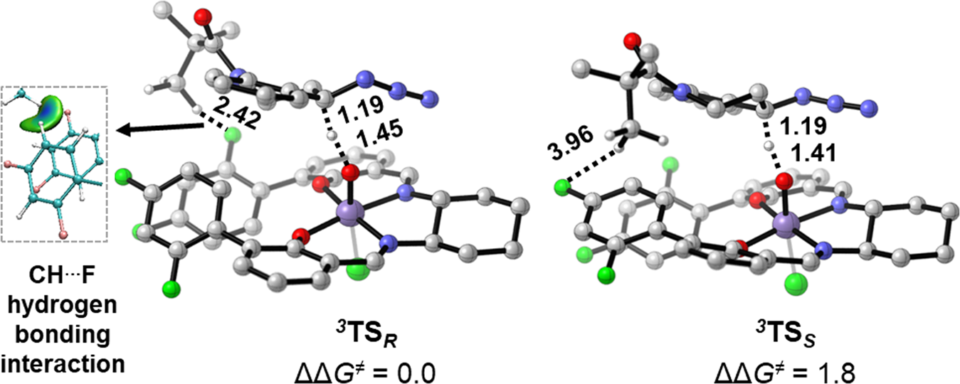 Fig. 7: Geometries and the relative Gibbs free energies of stereoselectivity-determining transition states.