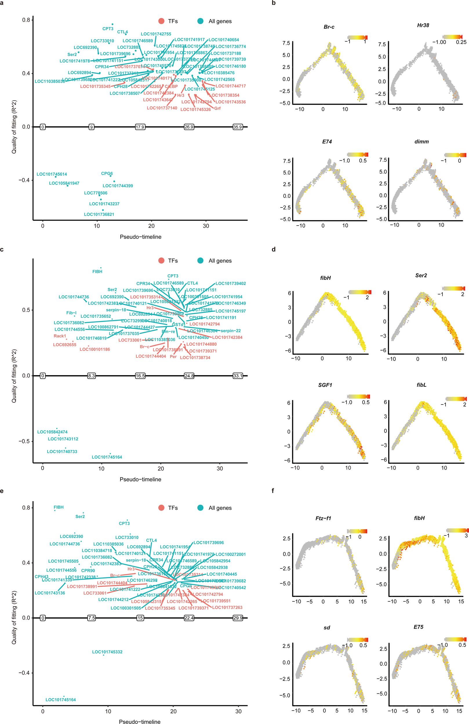 Fig. 5: Schematic diagram of priority activated and inactivated genes in cell types of the silk gland.