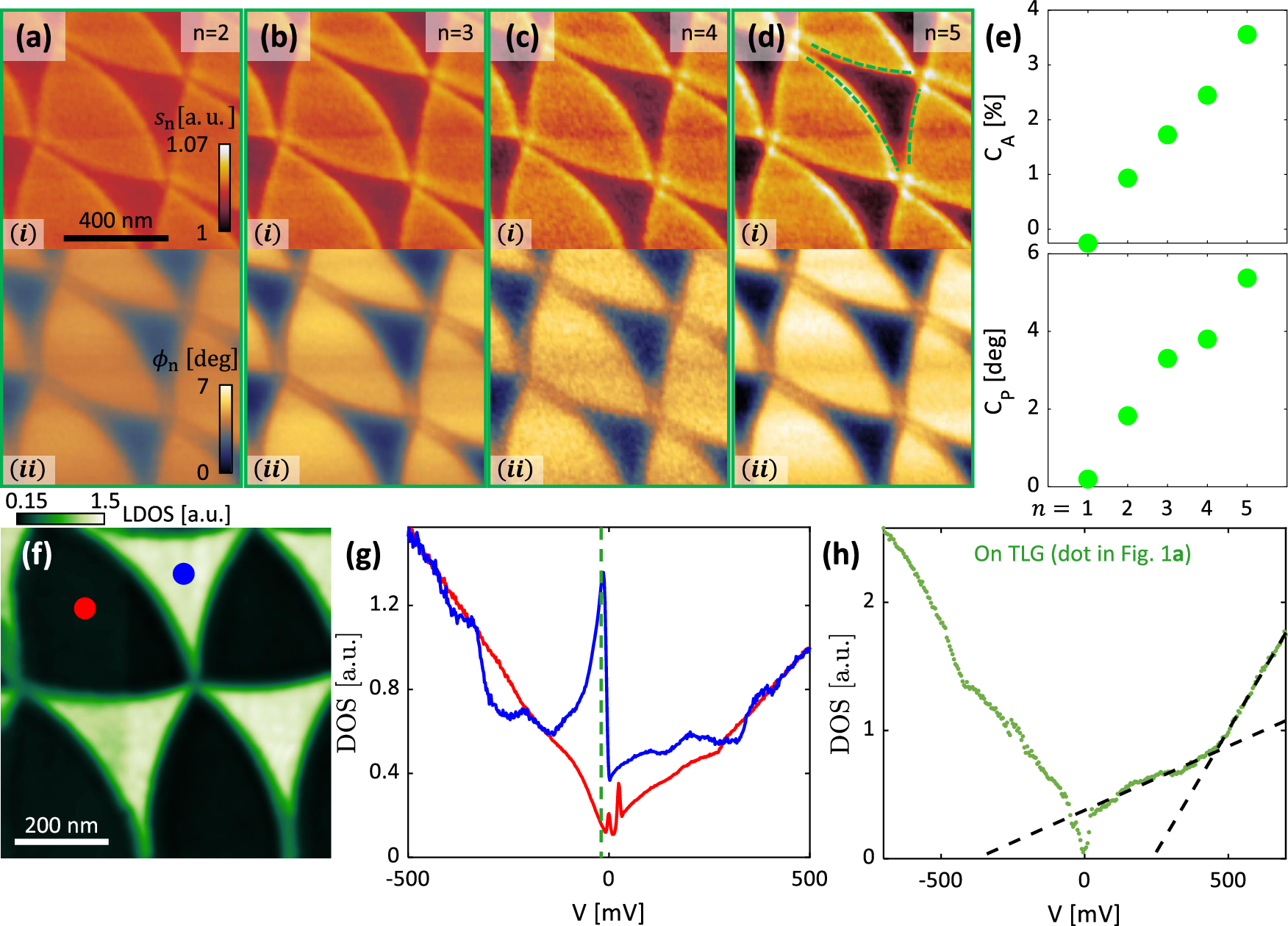Fig. 2: Imaging of the TDTG moiré.