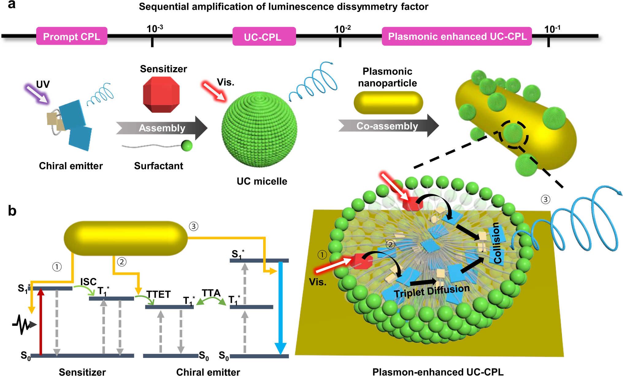 Fig. 1: Concurrently amplified dissymmetry factor glum and upconversion emission from plasmon-micelle composites in aqueous solution.