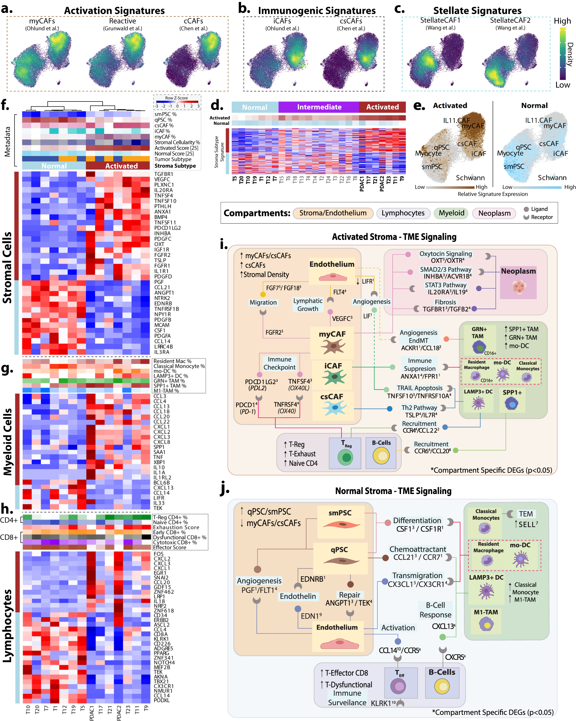 Fig. 3: Stroma-specific variations across patients highlight distinct phenotypic groups.