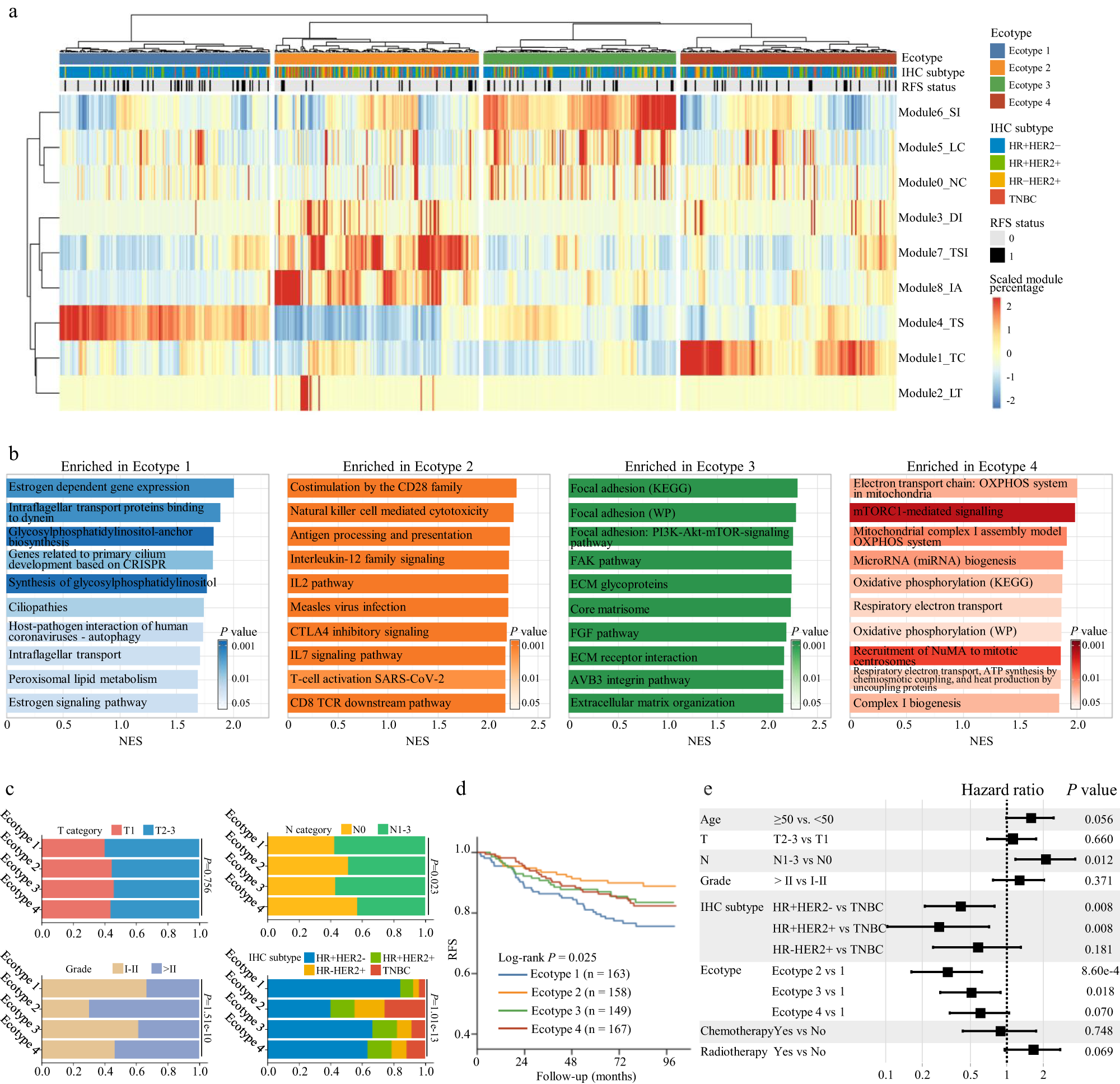 Fig. 7: Micro-ecological module-based breast cancer ecotypes associated with molecular features and patient prognosis.