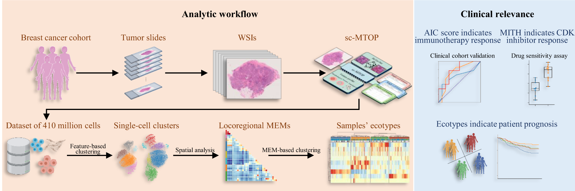 Fig. 8: Summary of the present study.