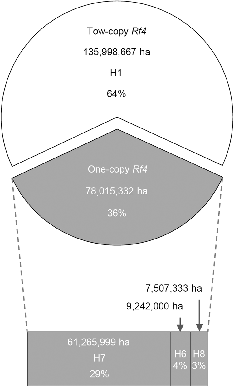 Fig. 6: Usage of Rf4 haplotypes in major restorer lines for hybrid rice production in China.