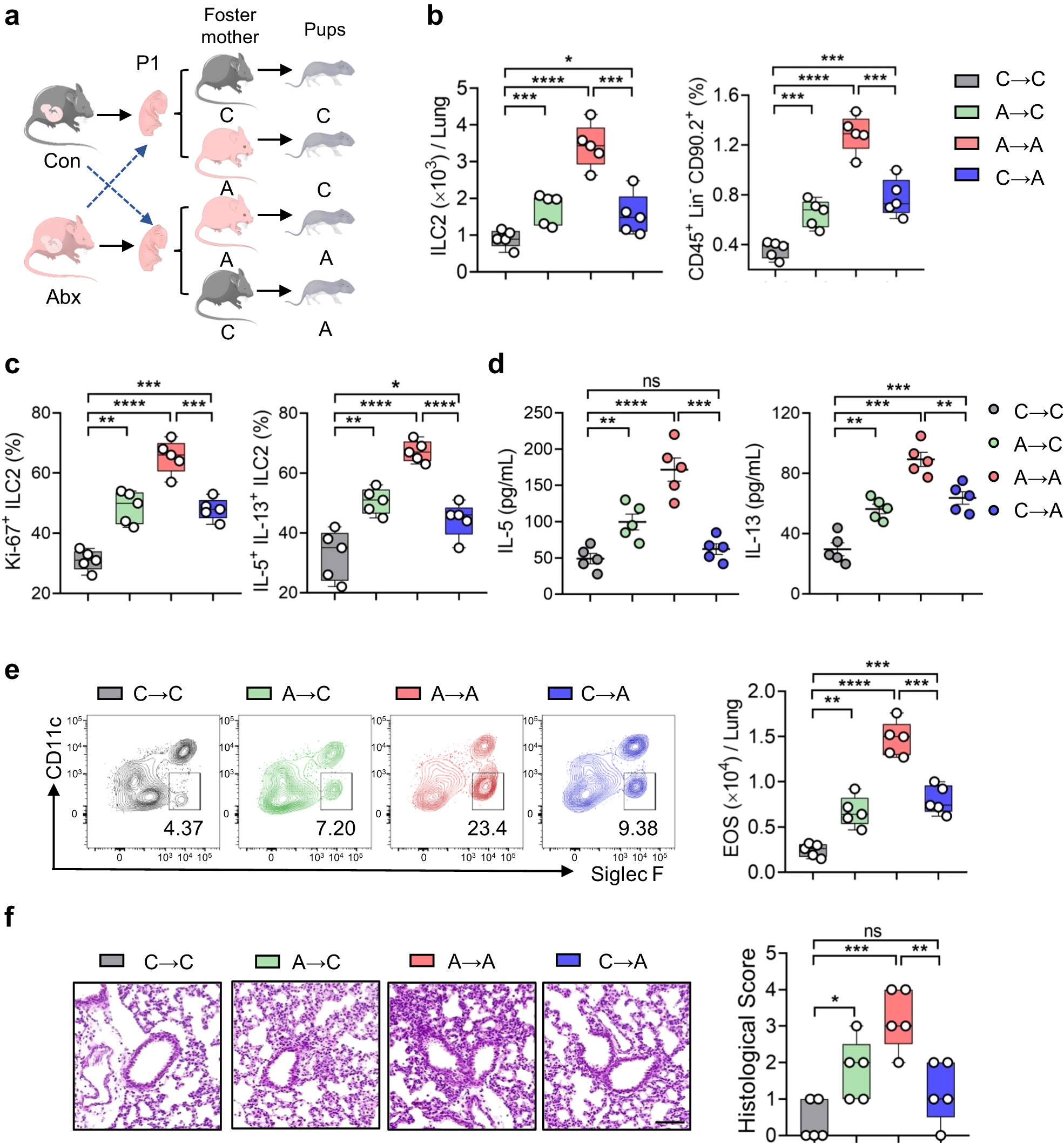 Fig. 3: Breast milk derived factors contribute to the effects of microbiota on neonatal ILC2s.