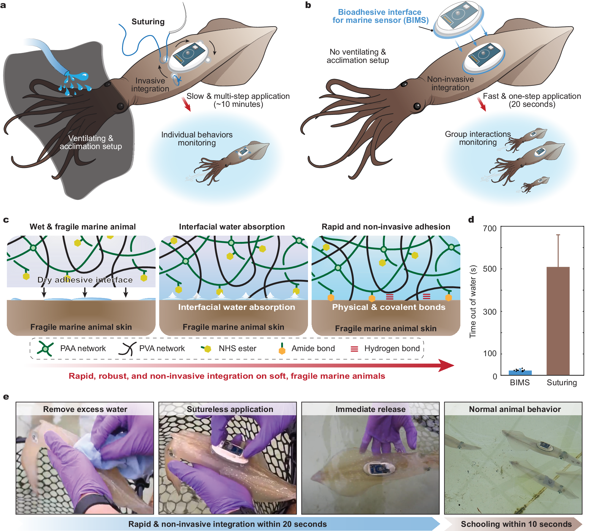 Fig. 1: BIMS mechanism and application process.