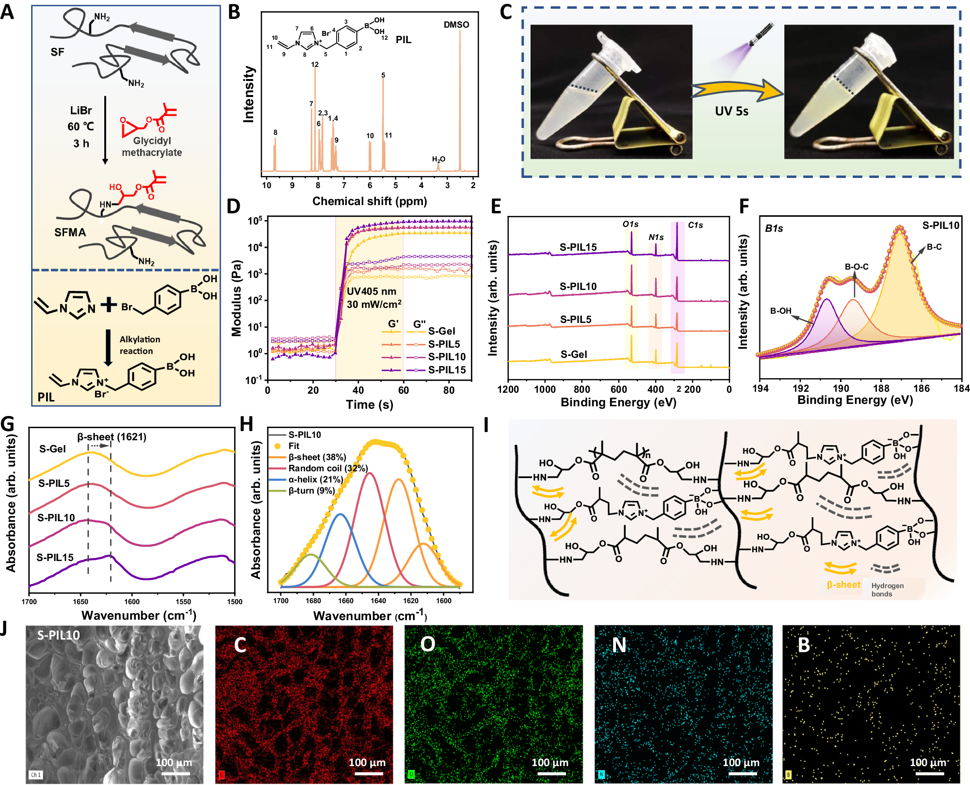 Fig. 2: Preparation and characterization of S-PIL precursor and hydrogel adhesives.