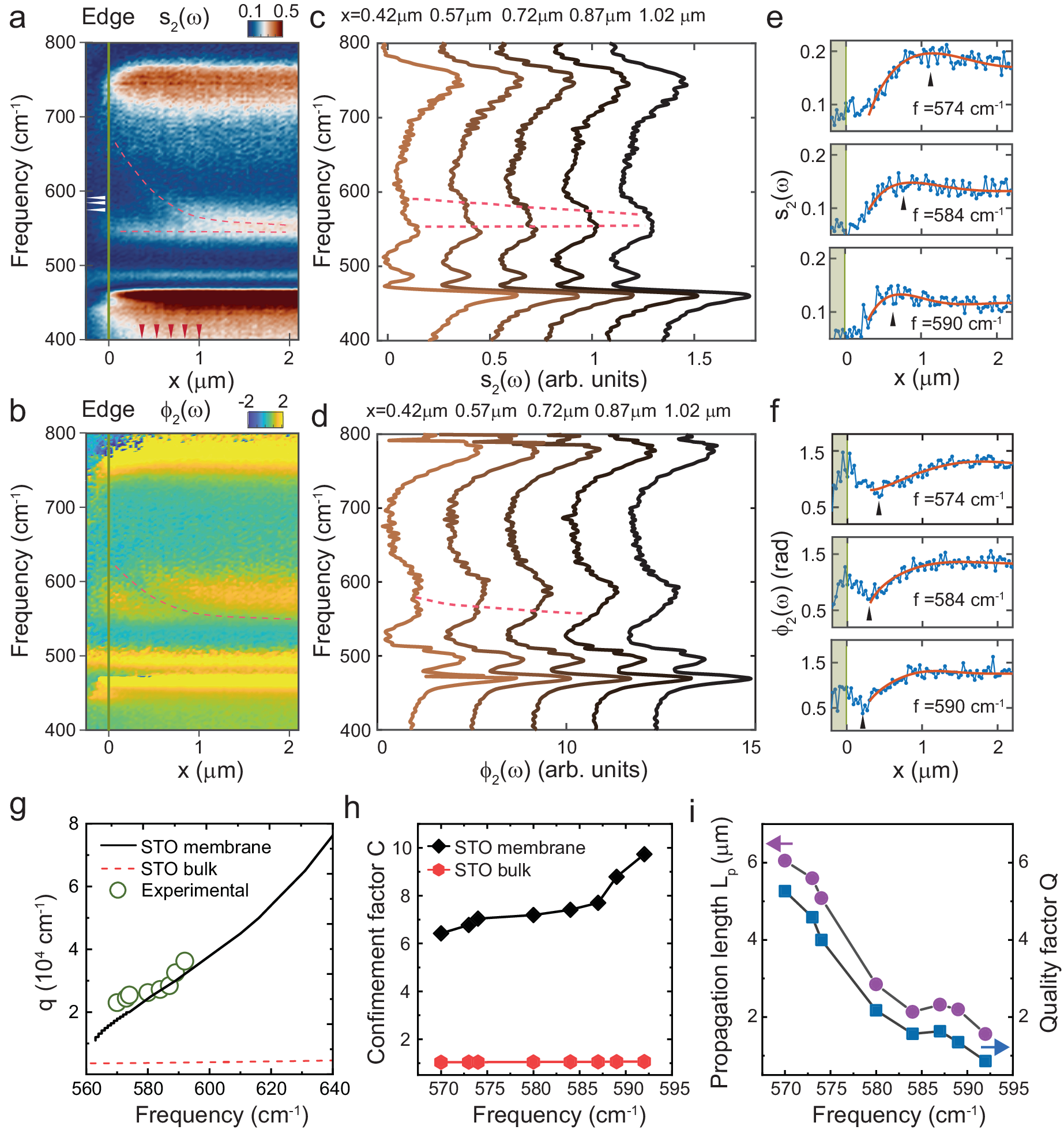 Fig. 4: Real-space SINS nanoimaging of SPhPs in SiO2/Si-supported membranes.
