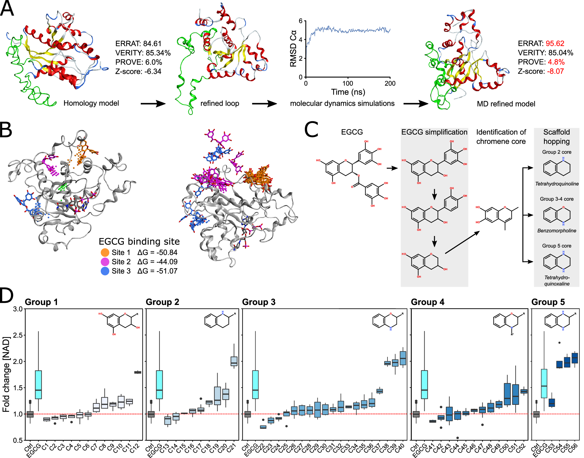 Fig. 7: EGCG provides a basis for generating novel NAD-producing compounds.