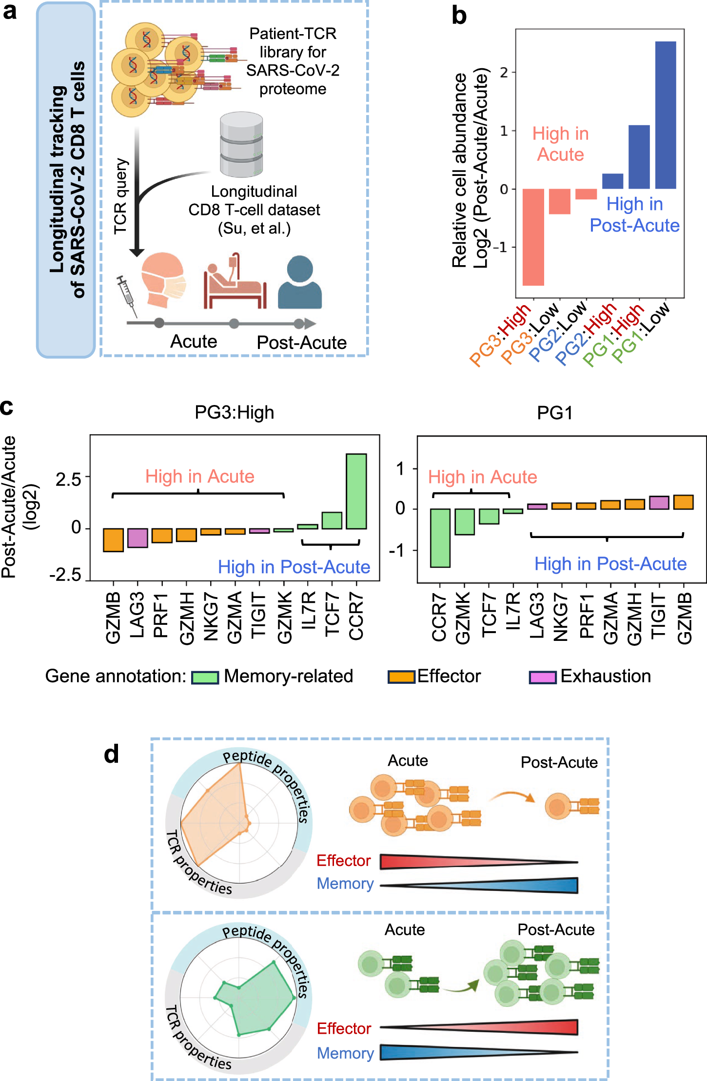 Fig. 7: Longitudinal analysis for PG-TCR groups.