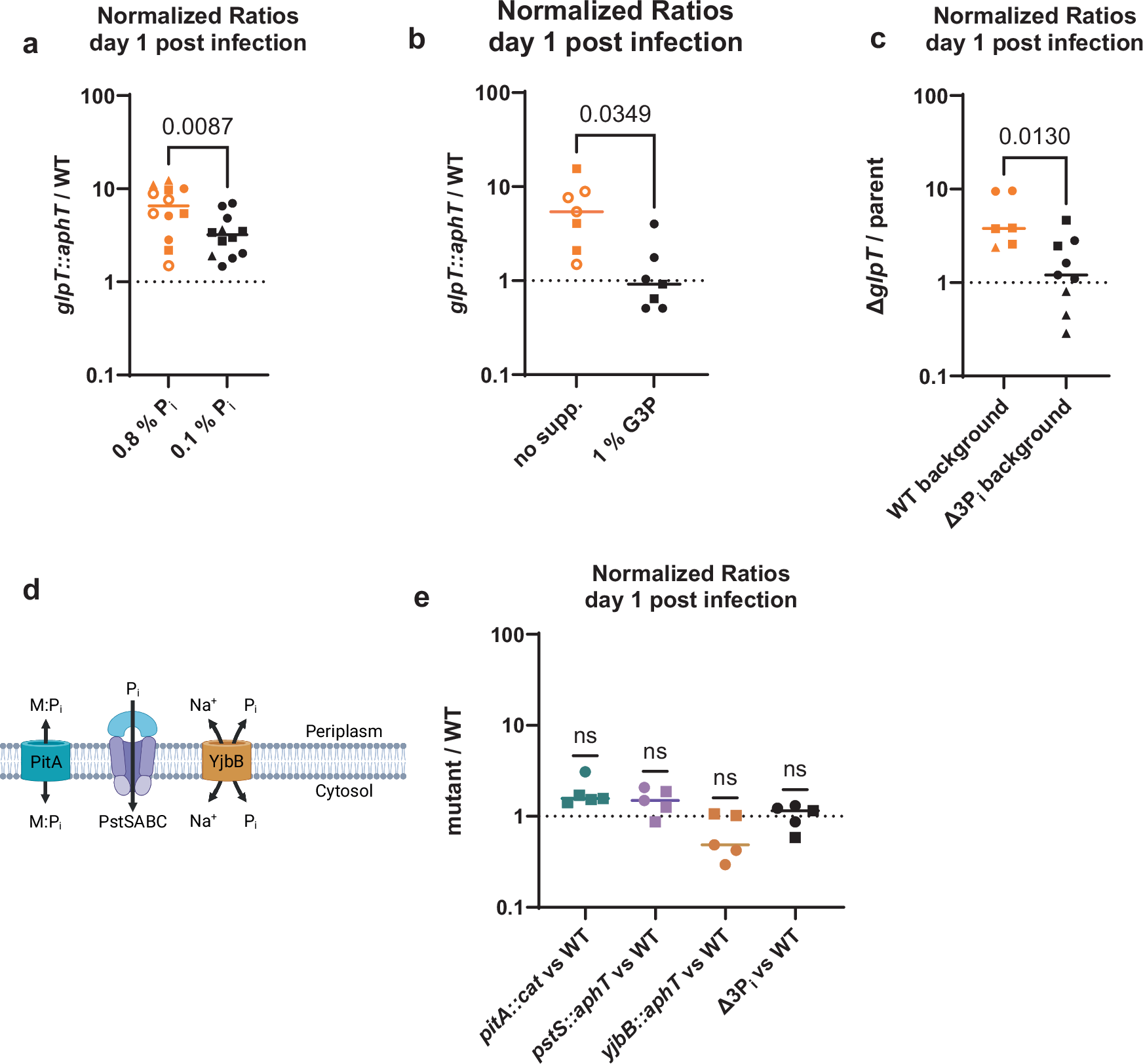 Fig. 2: The fitness effect of glpT is linked to the high phosphate availability in the murine cecal lumen.