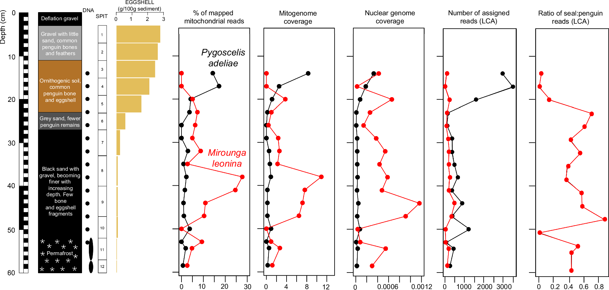 Fig. 6: Vertebrate fauna turnover at Cape Hallett.
