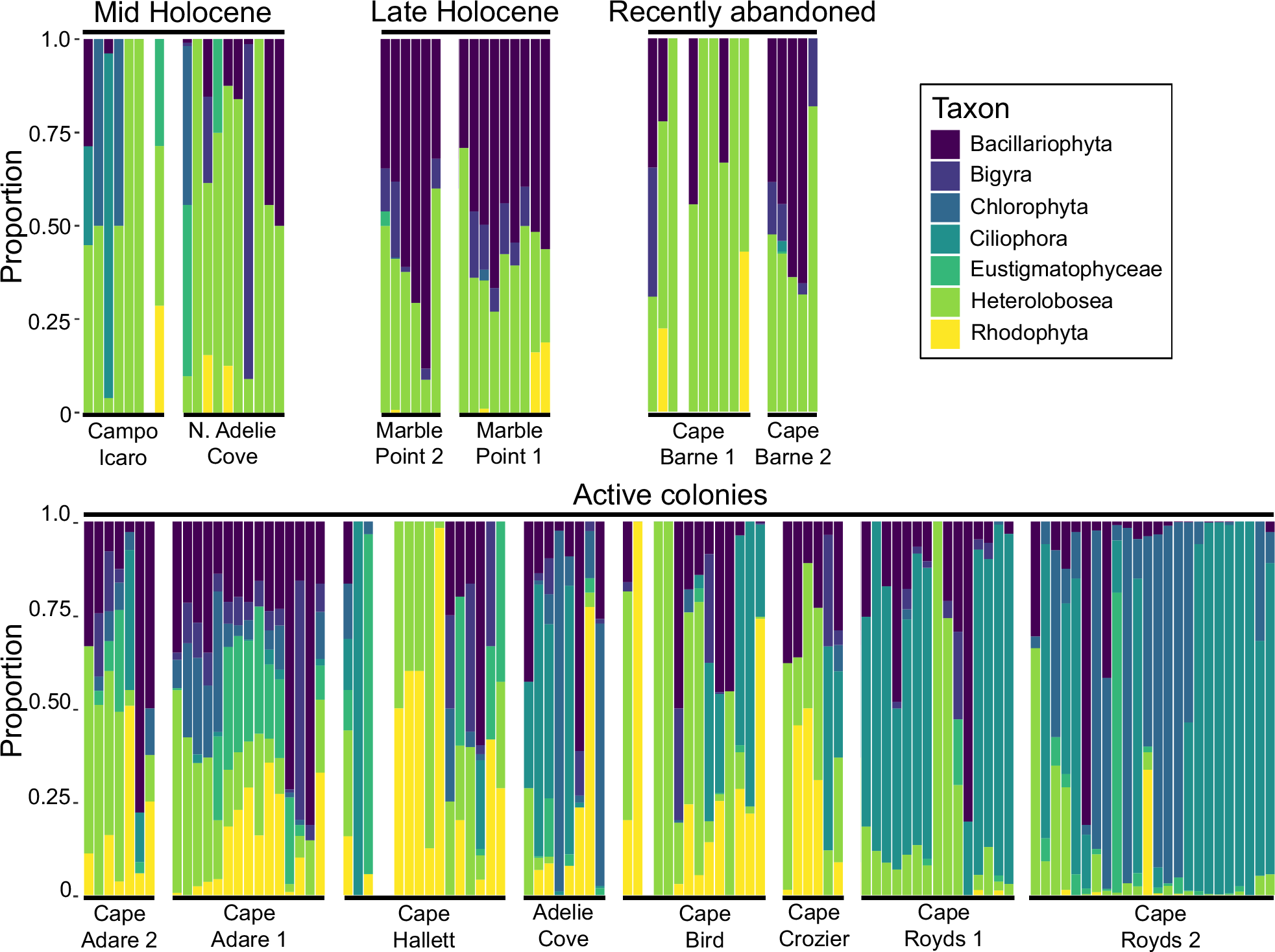 Fig. 7: Marine plankton assemblages.