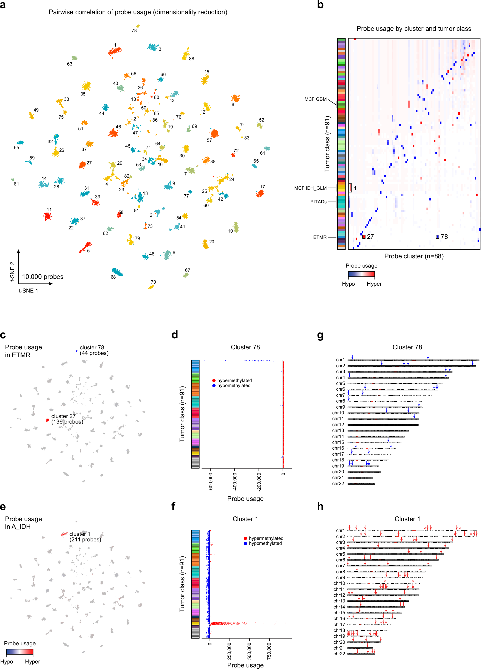 Fig. 3: Unsupervised clustering of probes by their usage.