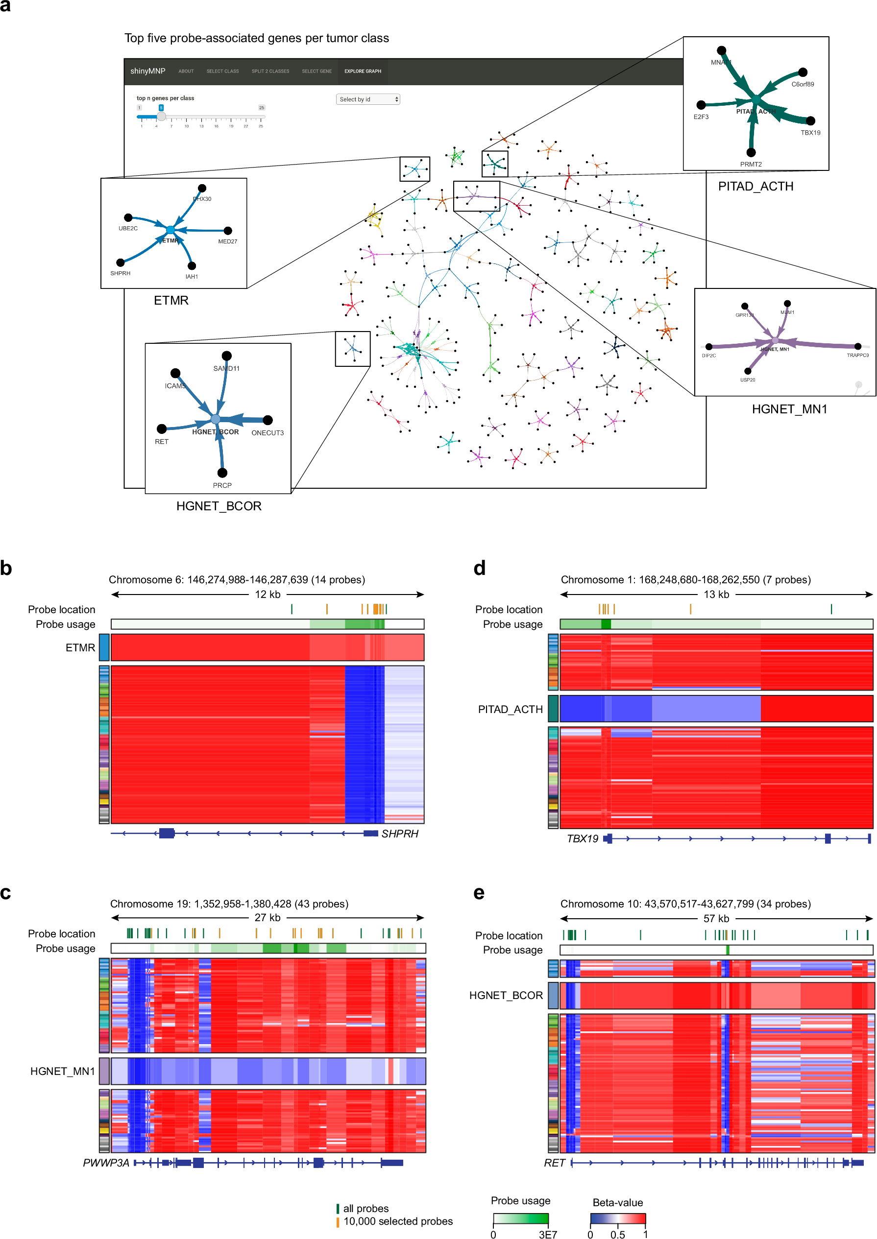 Fig. 4: shinyMNP interface and illustrative class-specific genes.