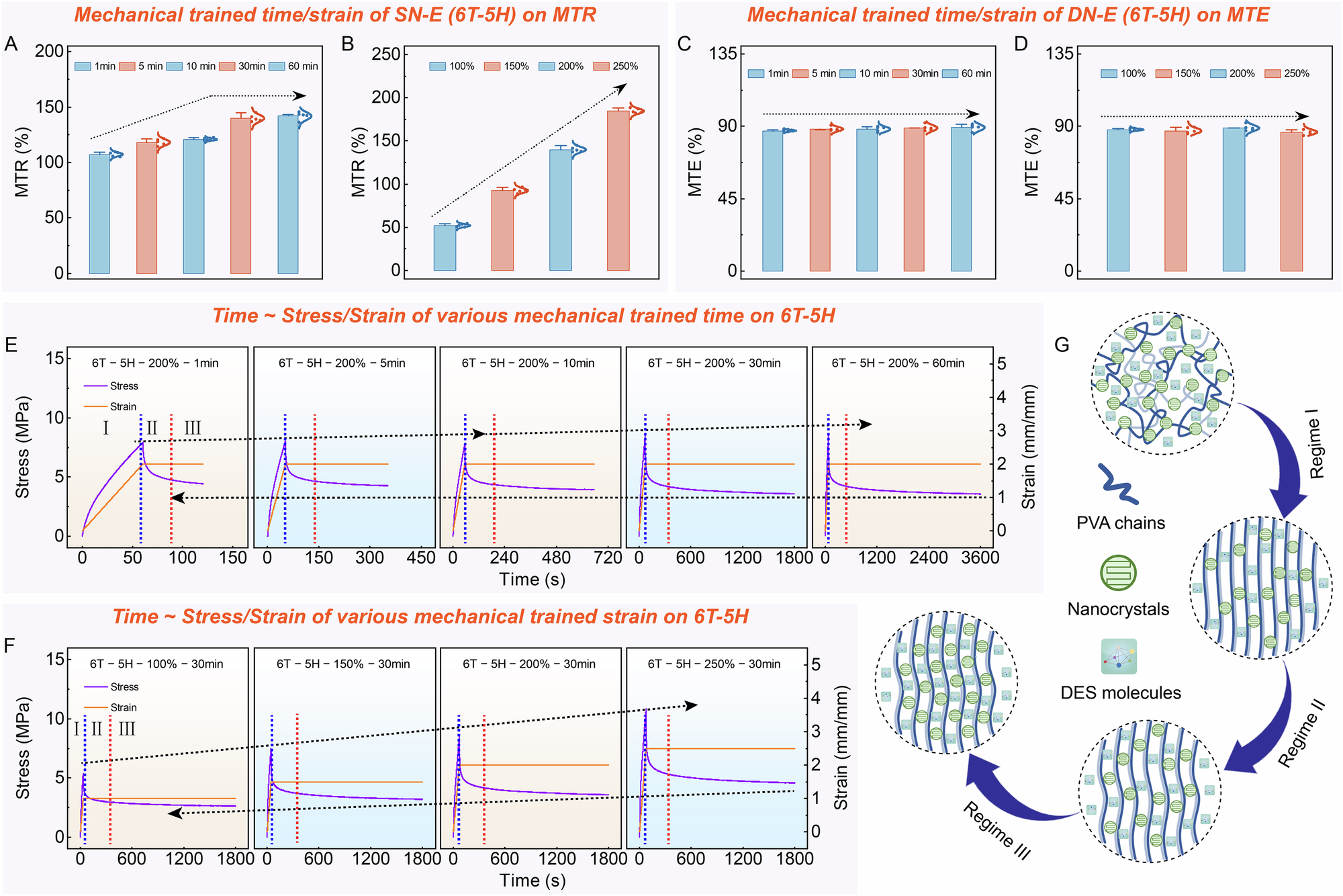 Fig. 3: Hyperhysteretic intermediate-induced structural retardation after mechanical training.