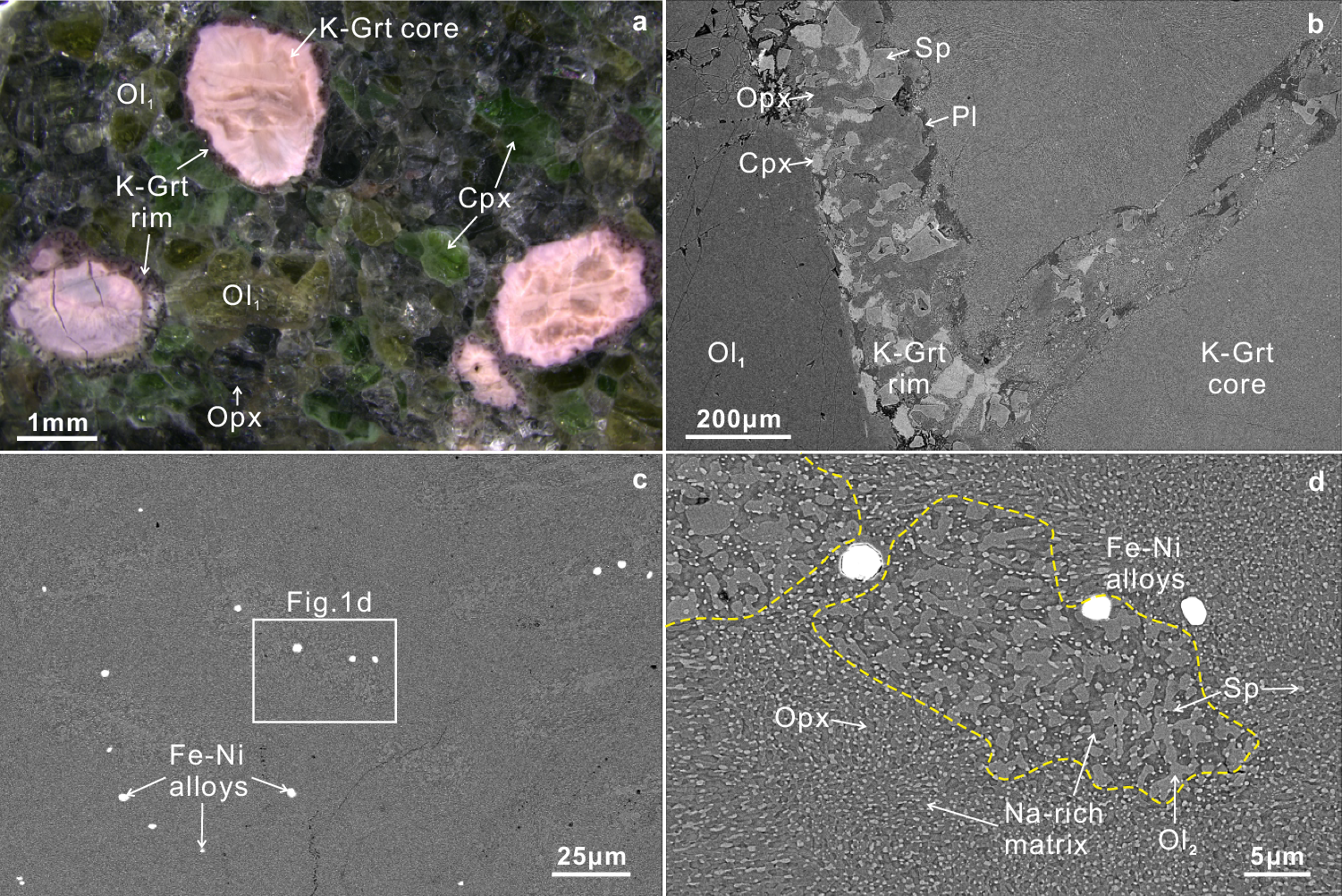 Fig. 1: Backscattered electron micrographs illustrating the kelyphitized garnet.