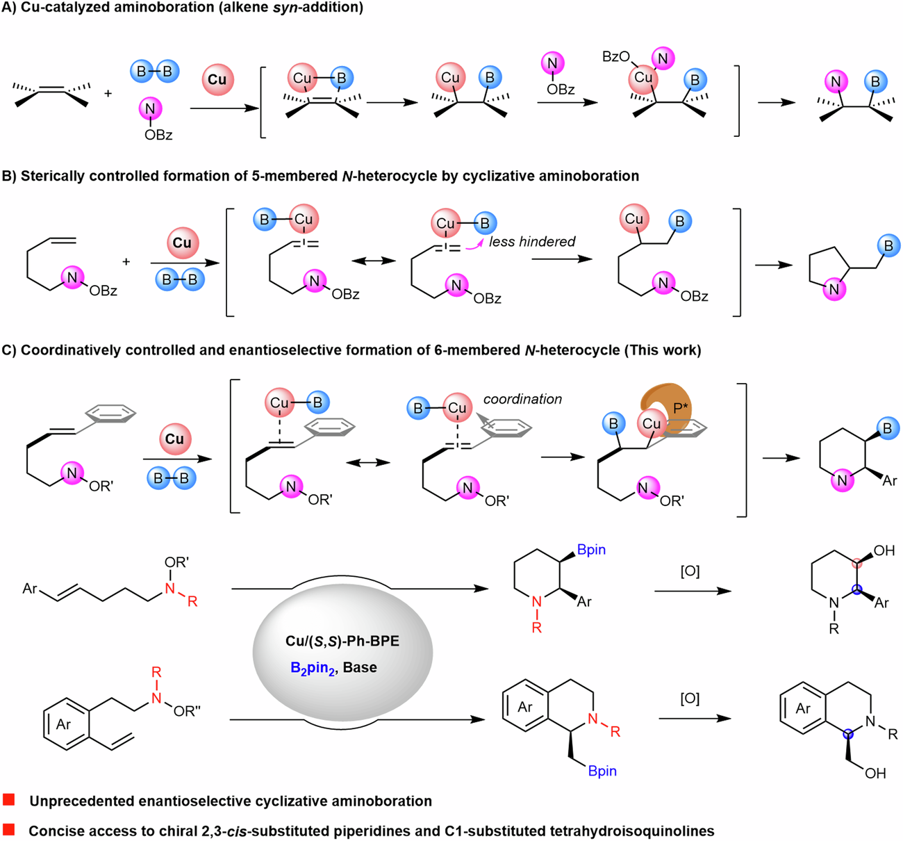 Fig. 2: Regioselective and enantioselective cyclizative aminoboration.