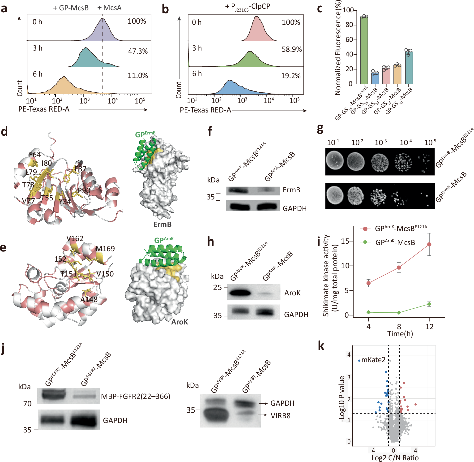 Fig. 2: Optimization and characterization of GPlad.