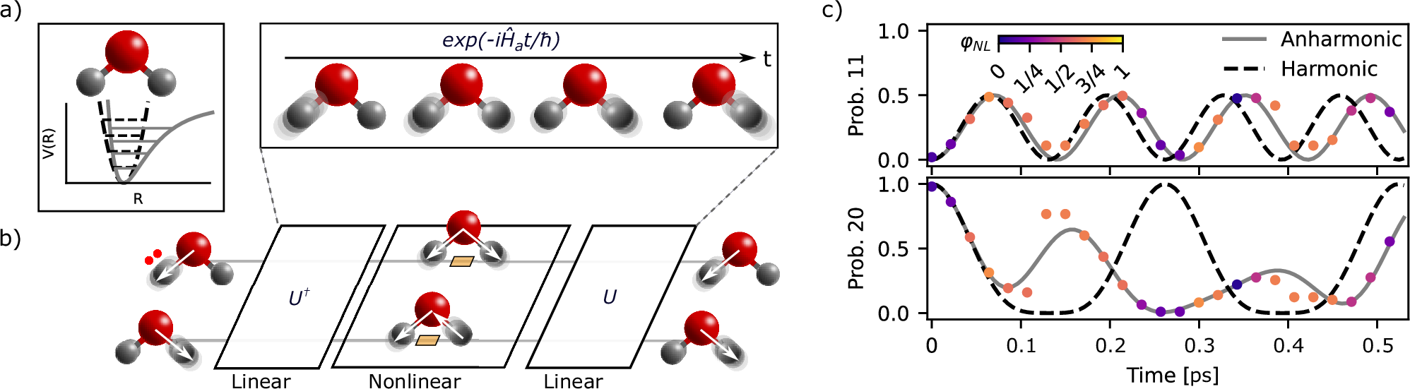Fig. 3: Proof-of-concept quantum simulation of vibrational dynamics in H2O with a programmable nonlinear photonic quantum circuit.
