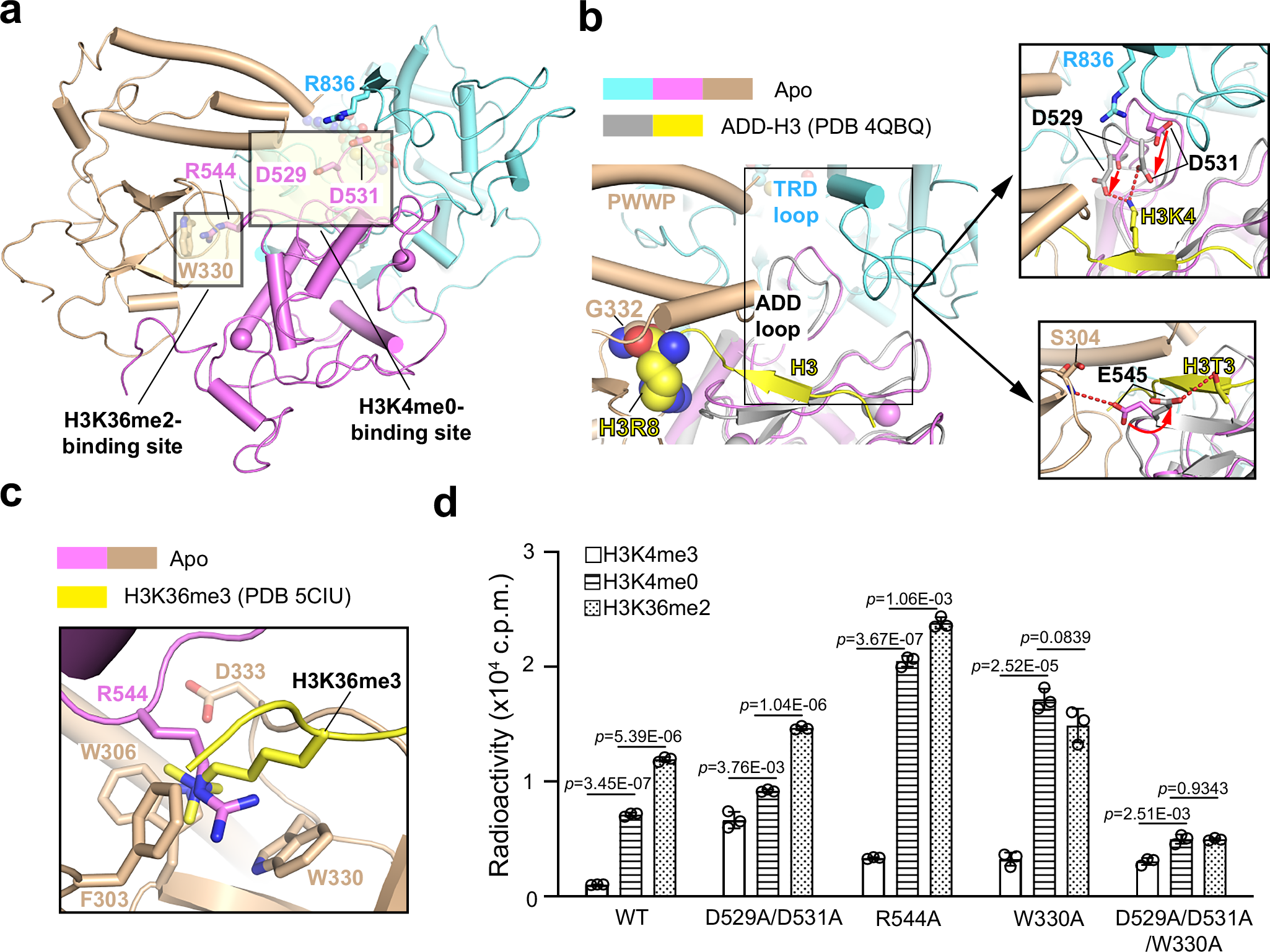 Fig. 4: The PWWP- and ADD-mediated intramolecular interactions constitute two distinct layers of autoinhibition.
