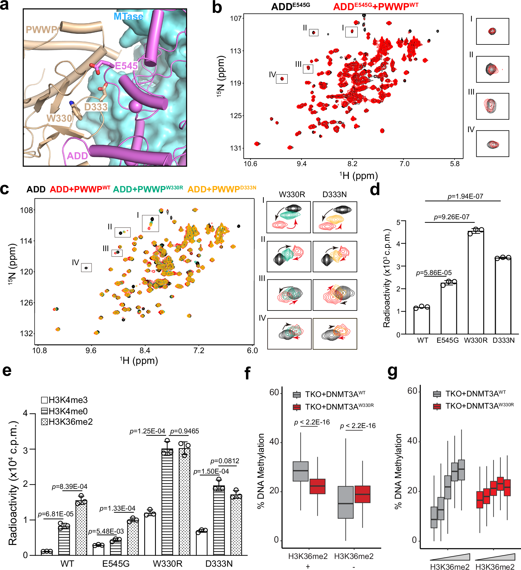 Fig. 6: Disease-associated PWWP-ADD interface mutations led to impaired DNMT3A autoinhibition and target selectivity.