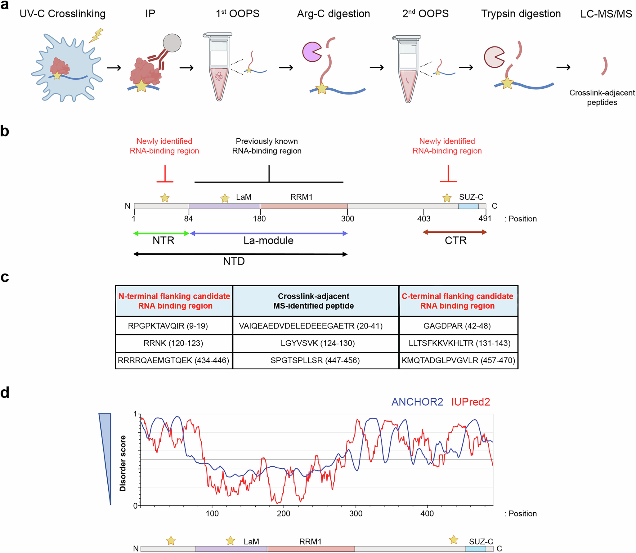 Fig. 1: LARP6 harbours two disordered RNA-binding regions.