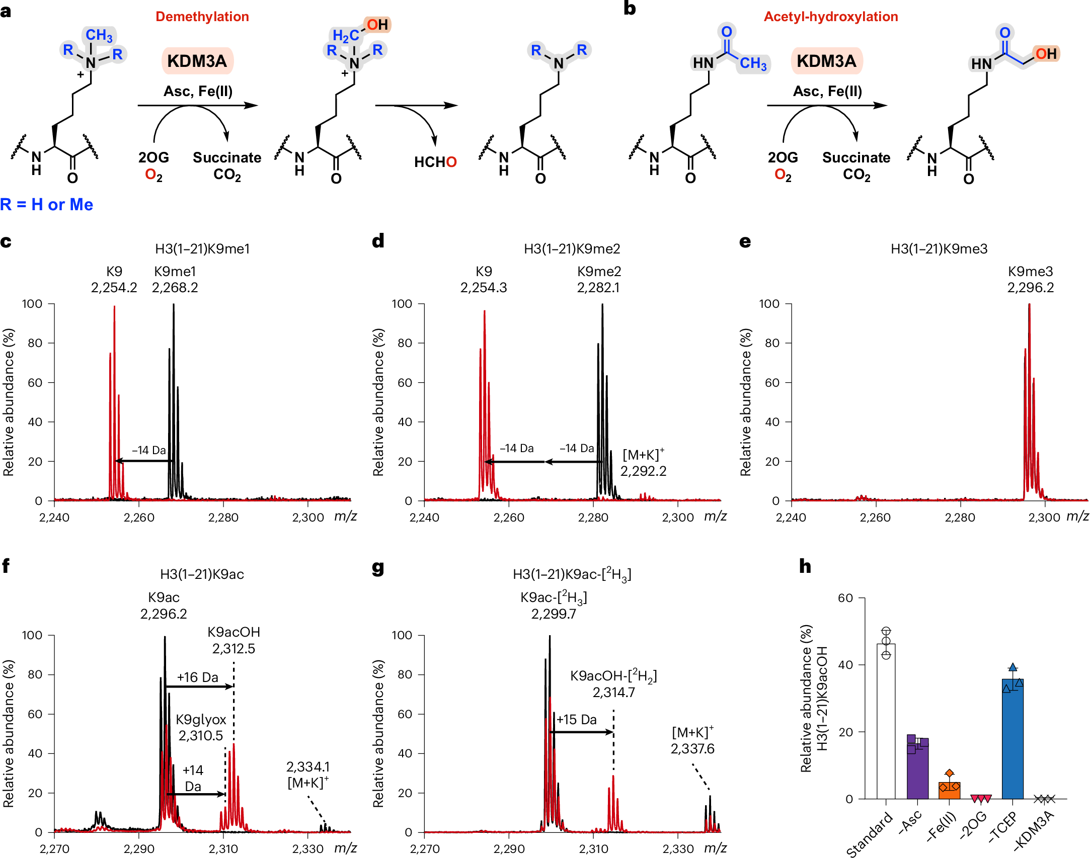 Fig. 1: Screening of Nε-lysines-modified histone H3(1–21) peptides as KDM3A substrates.