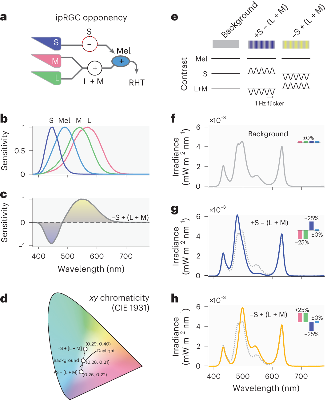 Fig. 1: S-cone-opponent influences into ipRGCs and selective stimuli to target these pathways.