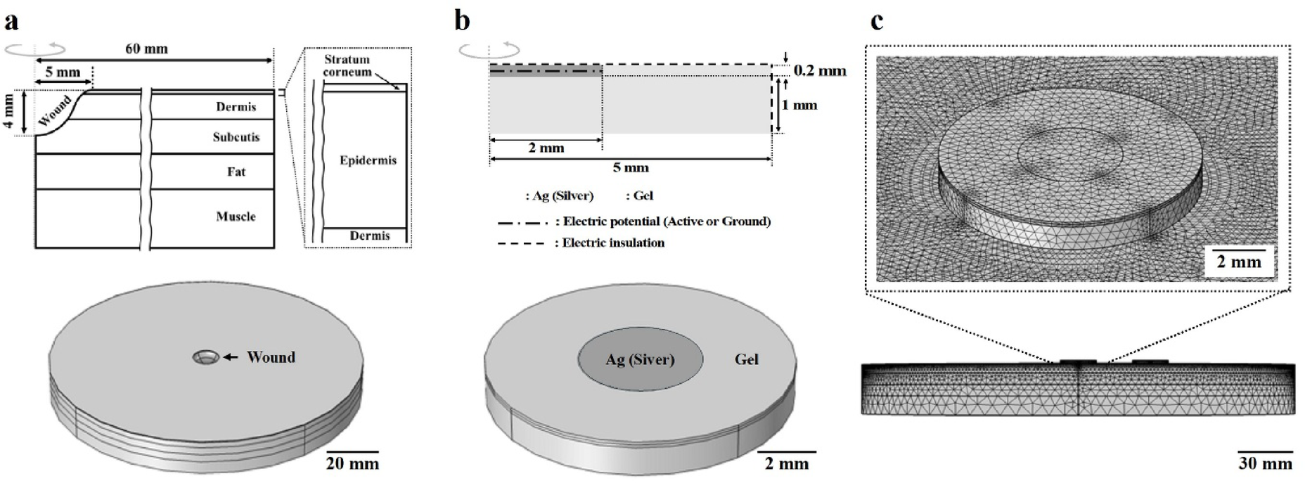 Fig. 2