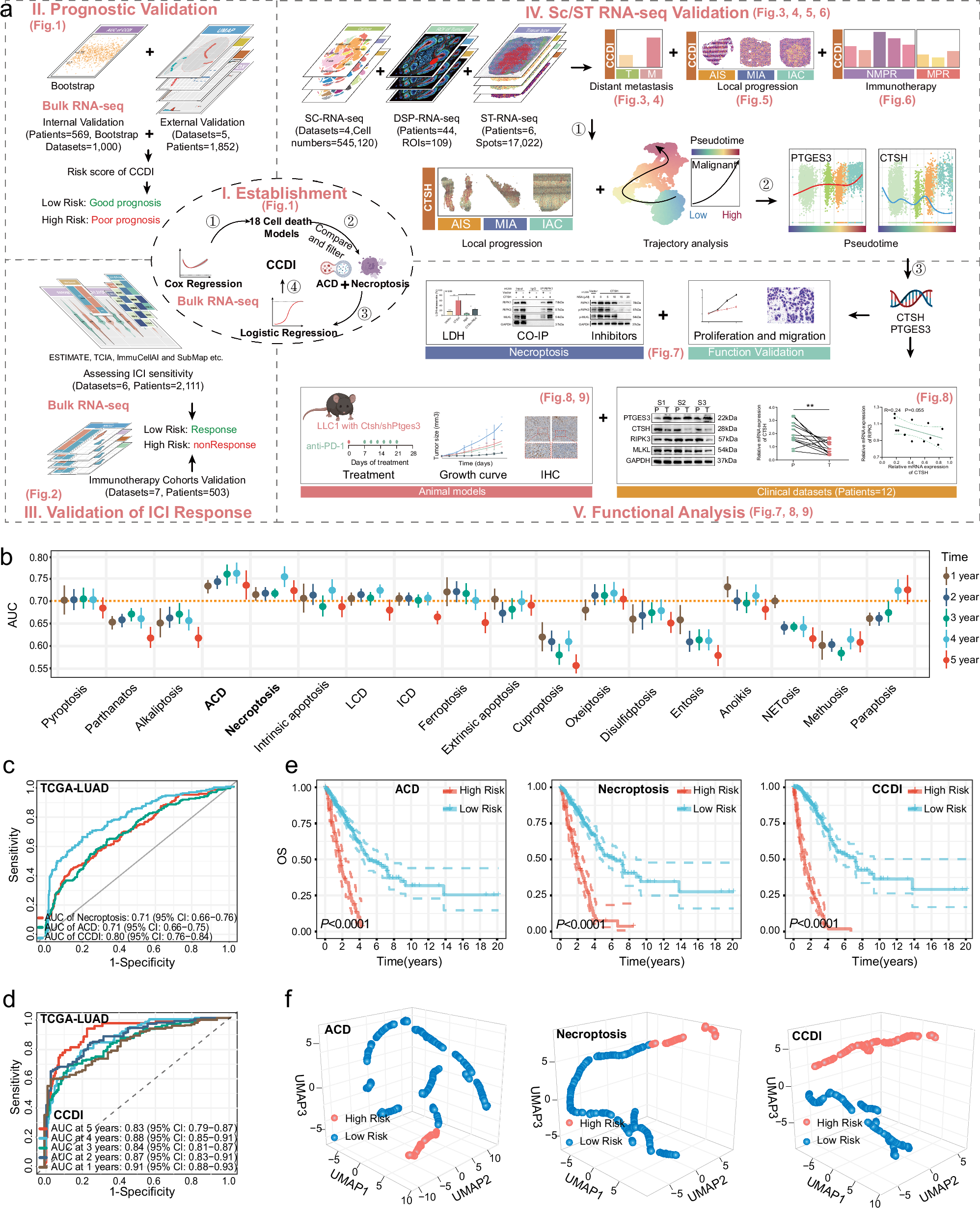Fig. 1: Establishment and validation of 18 cell death pattern models and CCDI models.