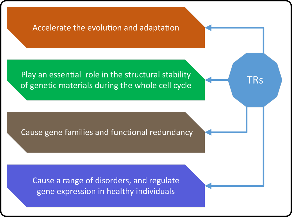 Fig. 4: How TRs affect the genome.