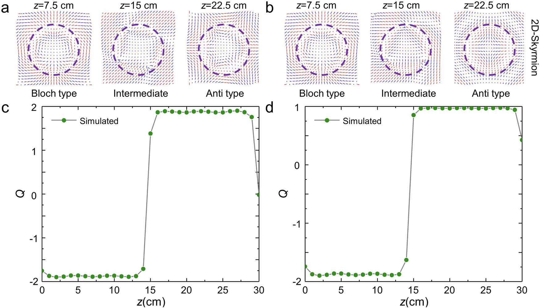 Fig. 5: Arbitrary configuration of 2D optical skyrmion topological states and skyrmion numbers.
