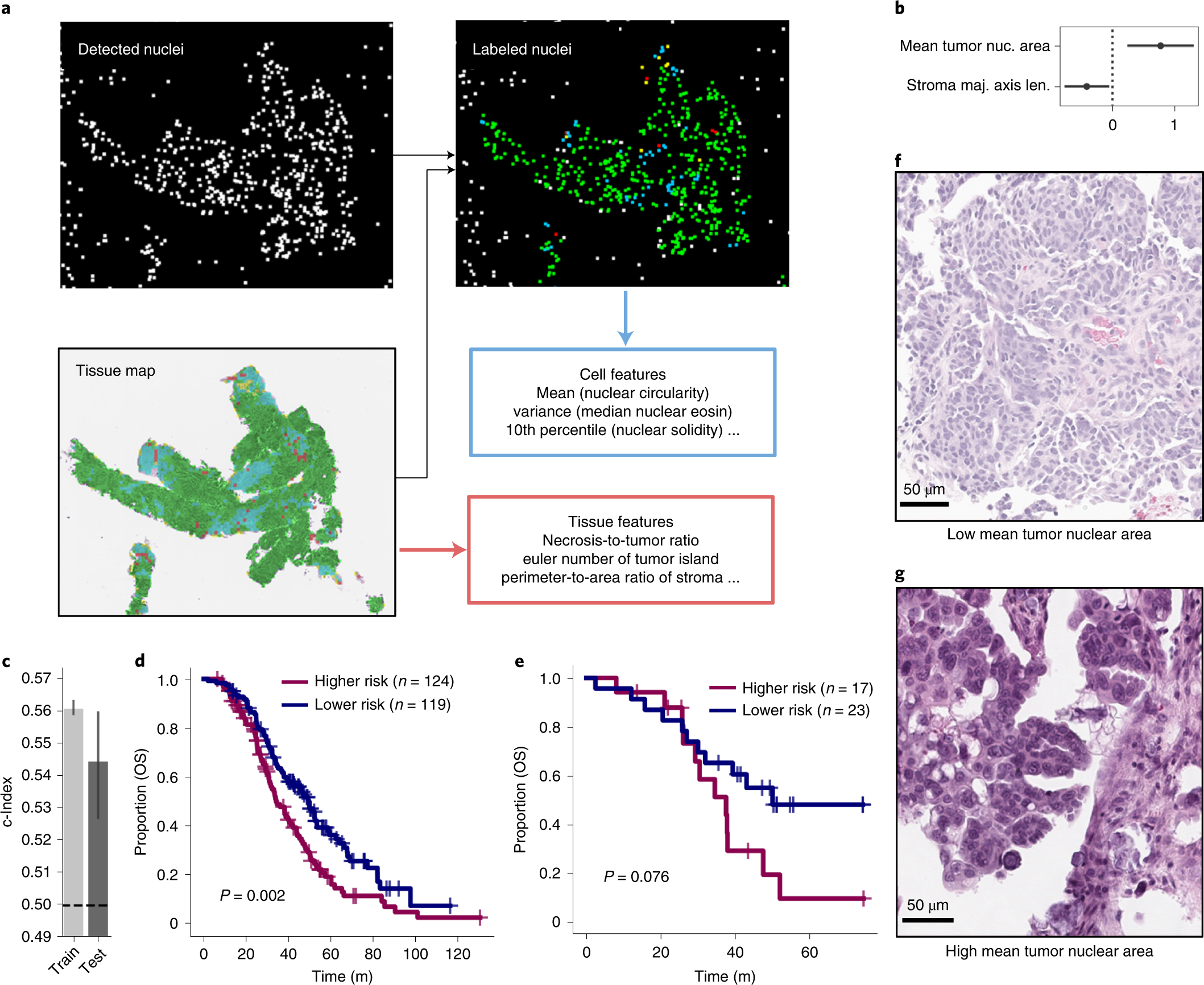 Fig. 5: Interpretable histopathological features stratify HGSOC patients by OS.