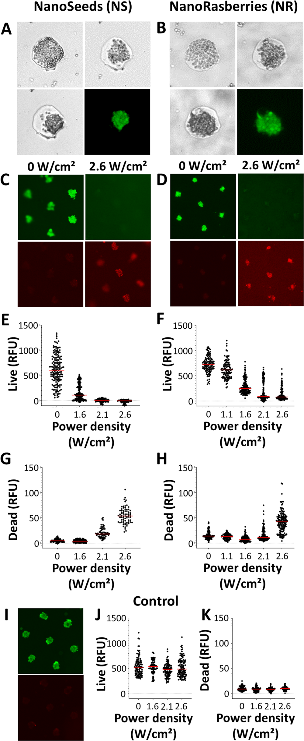 Fig. 4: High-throughput evaluation of cell death at spheroid level after photothermal treatment.