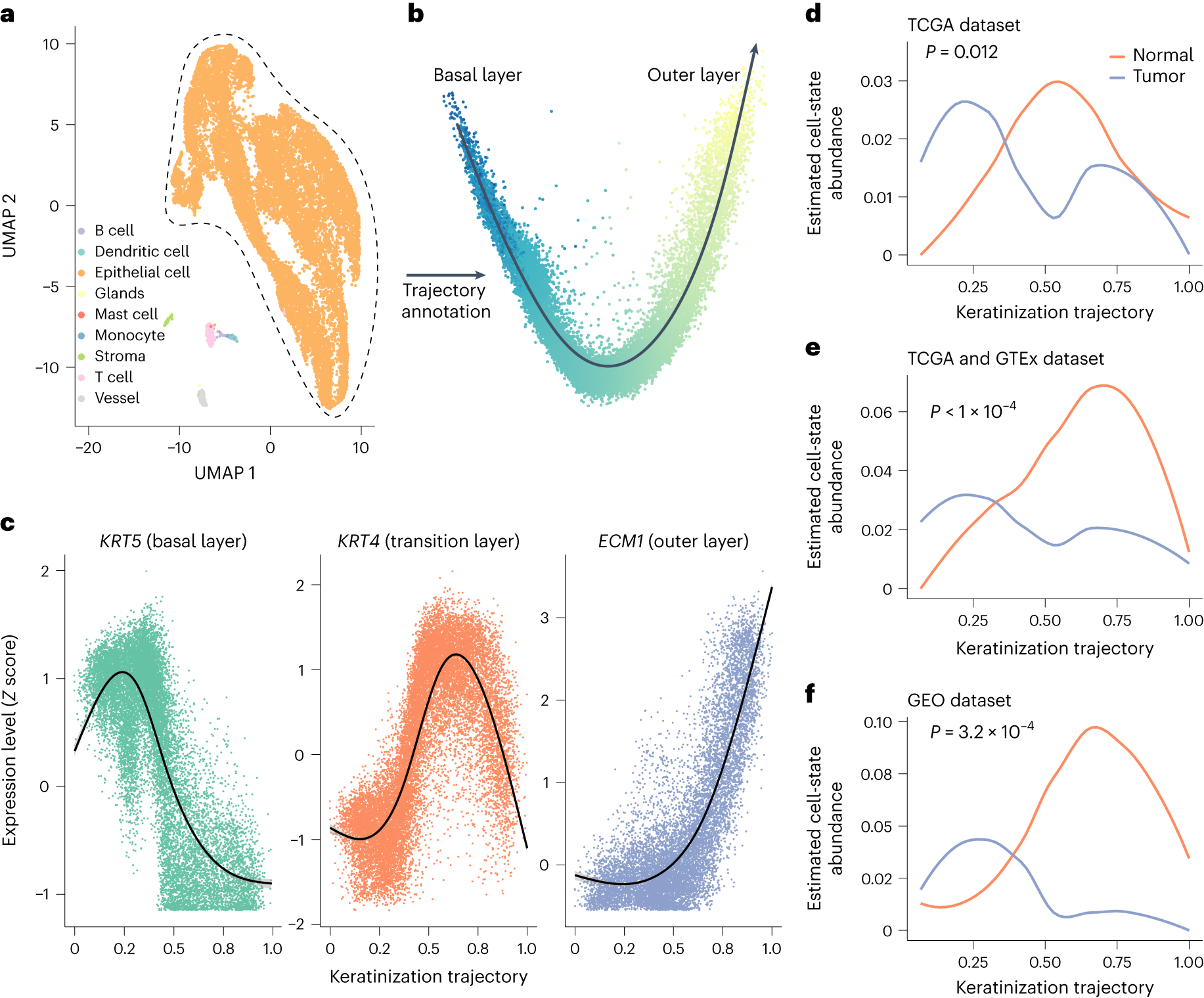 Fig. 4: Estimated epithelia abundance along the keratinization trajectory in normal and tumor esophagus tissues.