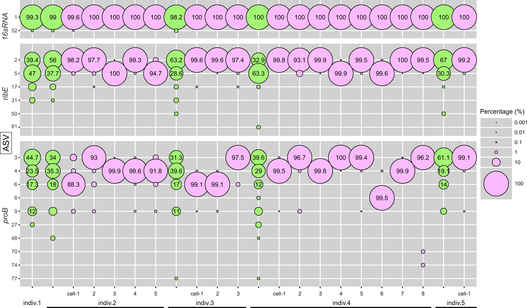 Fig. 2: Percentage of amplicon sequence variants (ASVs) for each of three genes, 16 S rRNA, ribE, and proB, detected from gill tissue masses or single bacteriocytes.