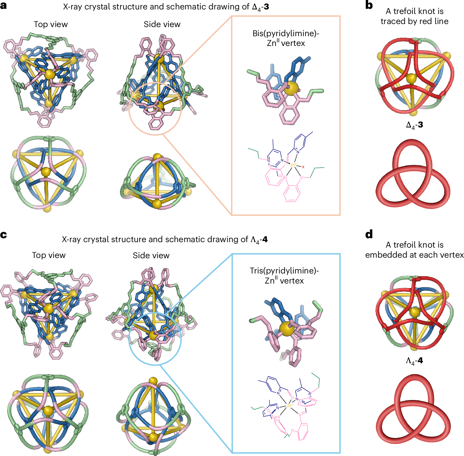 Fig. 3: X-ray crystal structures of 3 and 4.
