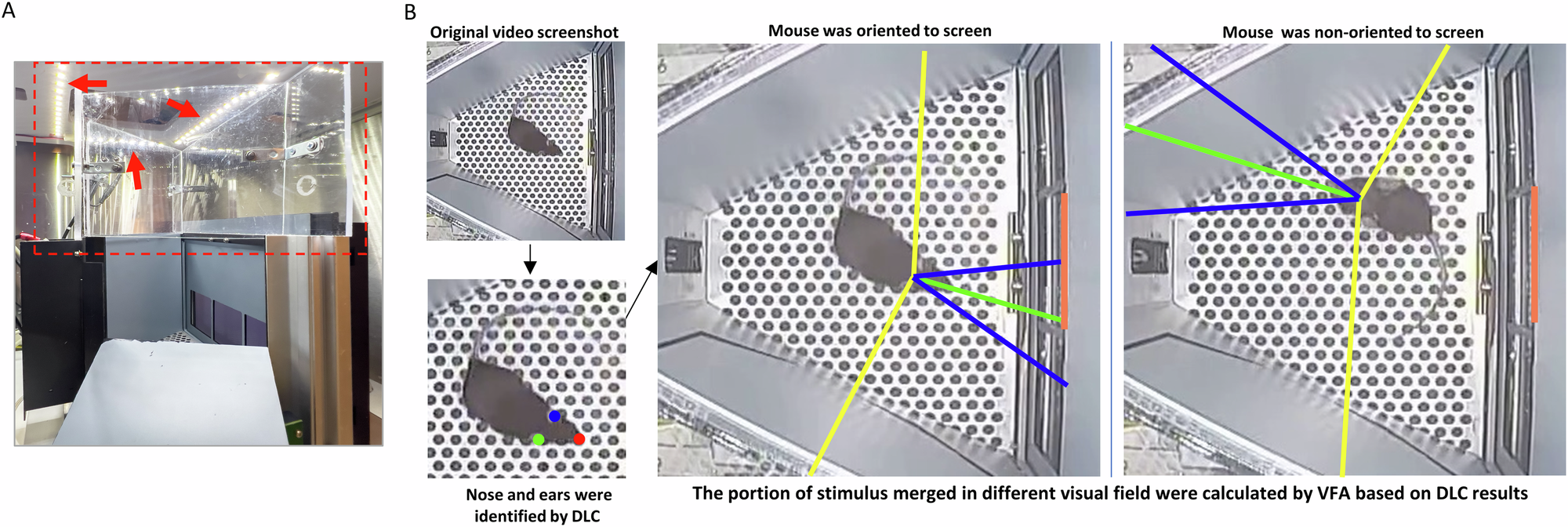 Fig. 1: Customized touchscreen chamber and DLC-VFA analysis.