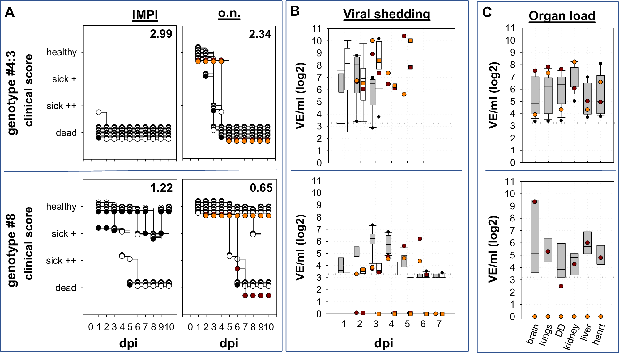 Fig. 2: Clinical course and viral shedding after o.n. HPAIV H5N1 infection with genotypes of high and moderate duckling virulence.