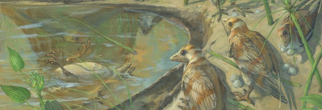 Nature Communications