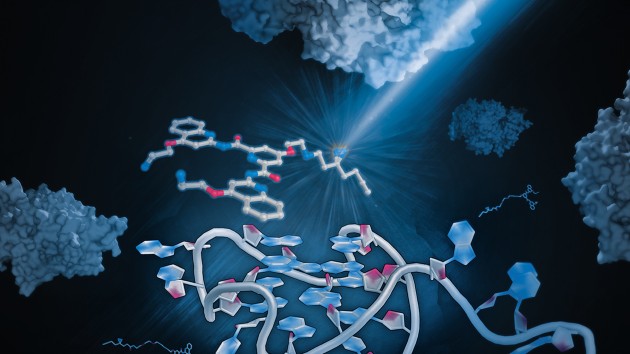Caltech thesis binding image