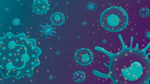 Innate immune cells