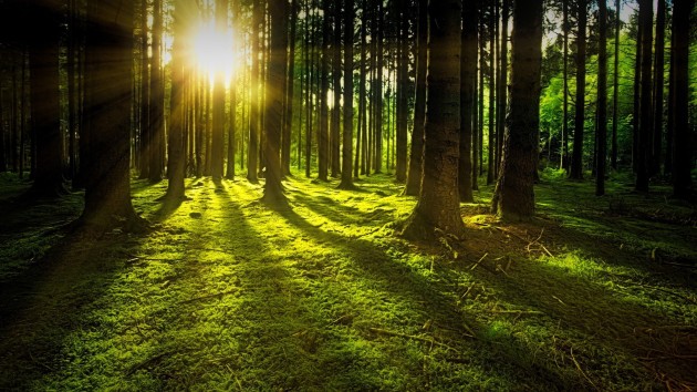 Earth Day 2021