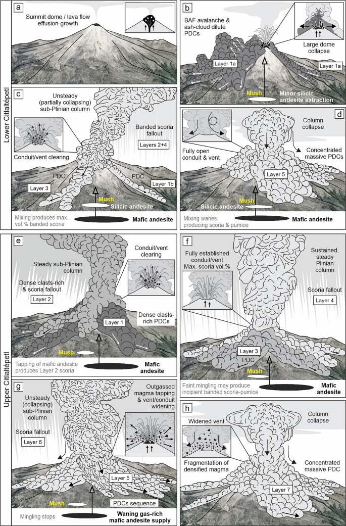 Fig. 12