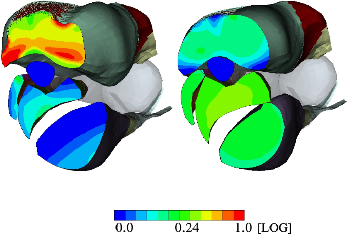 Fig. 12