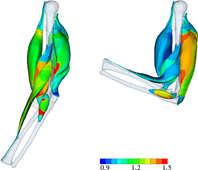 Fig. 13