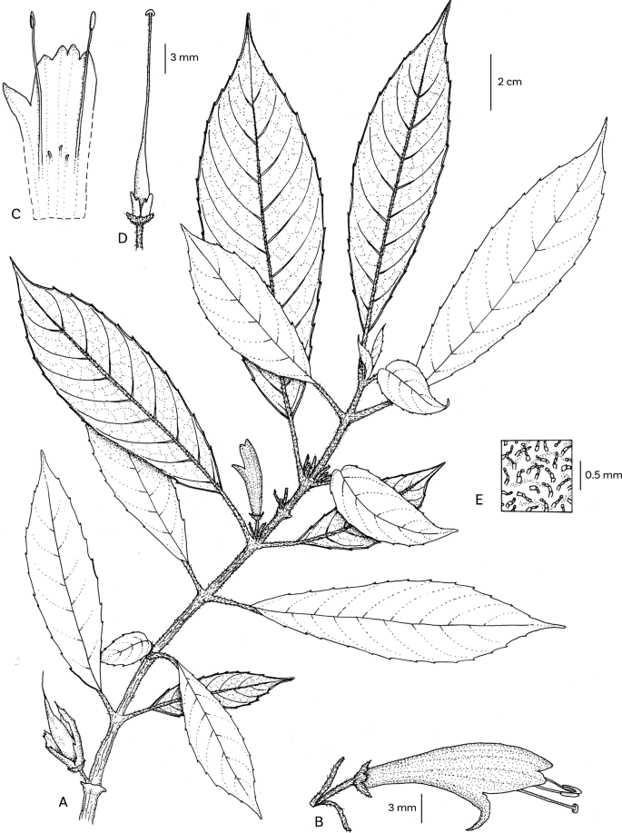 Fig. 10.