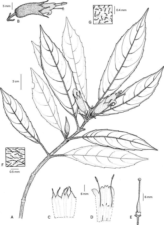 Fig. 8.