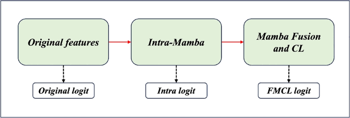 Fig. 15